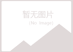 河曲县匆匆美容有限公司